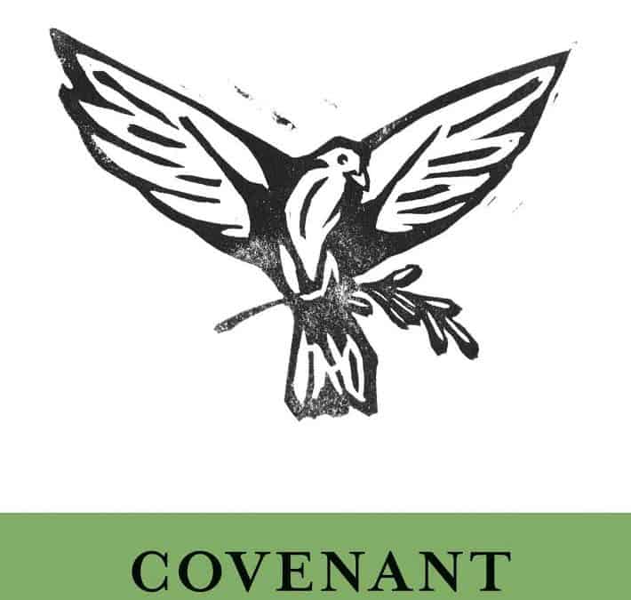 Covenant and God’s Purpose for the World – Thomas Schreiner (2017)