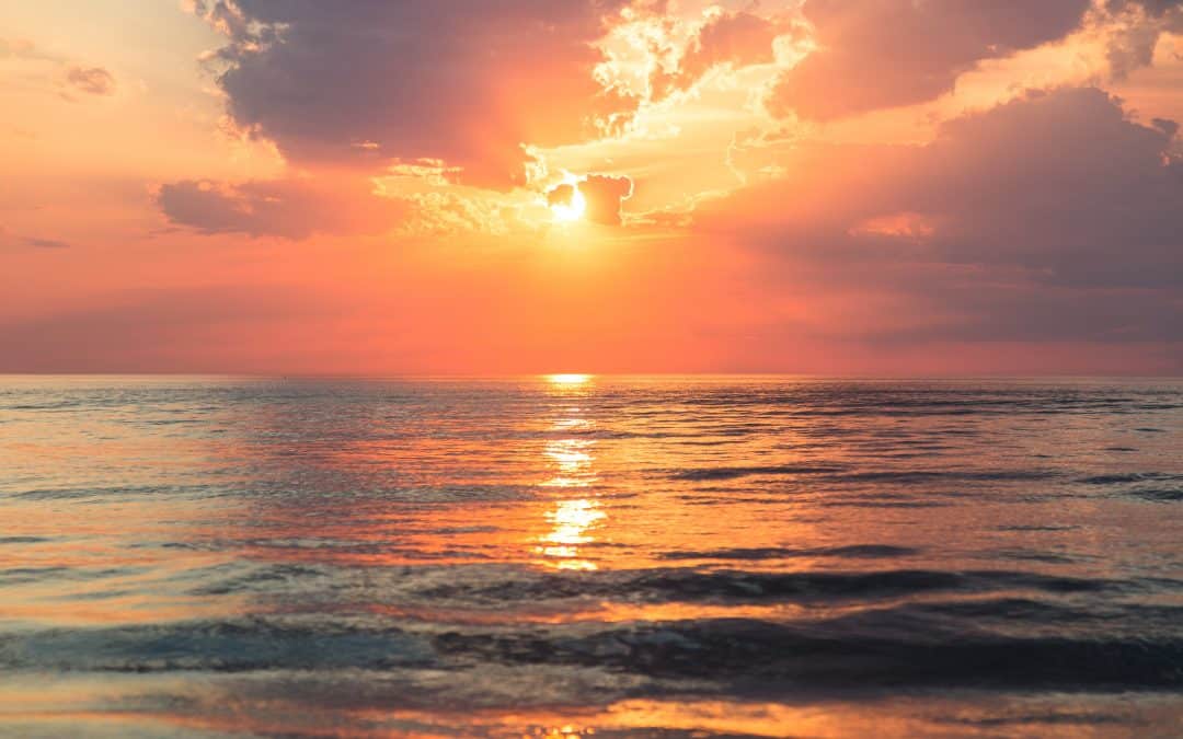 Discovering the Real Meaning of Free Will and Divine Freedom