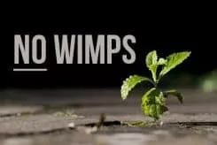 Ministry-Isnt-for-Wimps-Ten-Reasons_1733_245x169