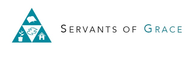 Books, Servants of Grace Books, Servants of Grace, Servants of Grace
