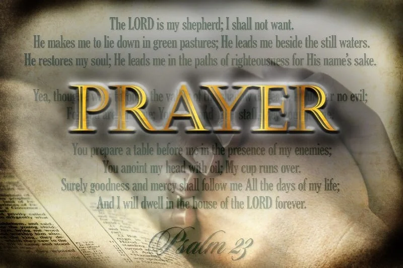 Praying Hands bible