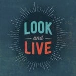 Look and Live Behold The Soul-Thrilling, Sin-Destroying Glory of Christ by Matt Papa 2 Look and Live