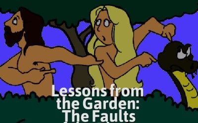 Lessons from the Garden: The Faults of the “Blame Game”