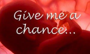 A foetus in the womb