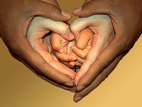 Standing for Life in a Culture of Death 3