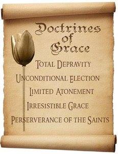 The Doctrines of Grace: Understanding the Heartbeat of the Gospel 6