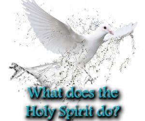 The Work of the Holy Spirit in the Salvation: A Brief Overview of the Spirit’s Role in the Doctrines of Grace