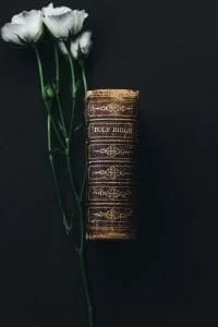 nathan-dumlao-553957-unsplash