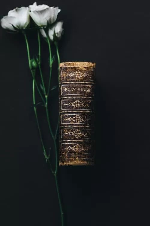 nathan-dumlao-553957-unsplash