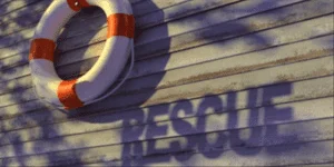 4714-rescue_edited.630w.tn