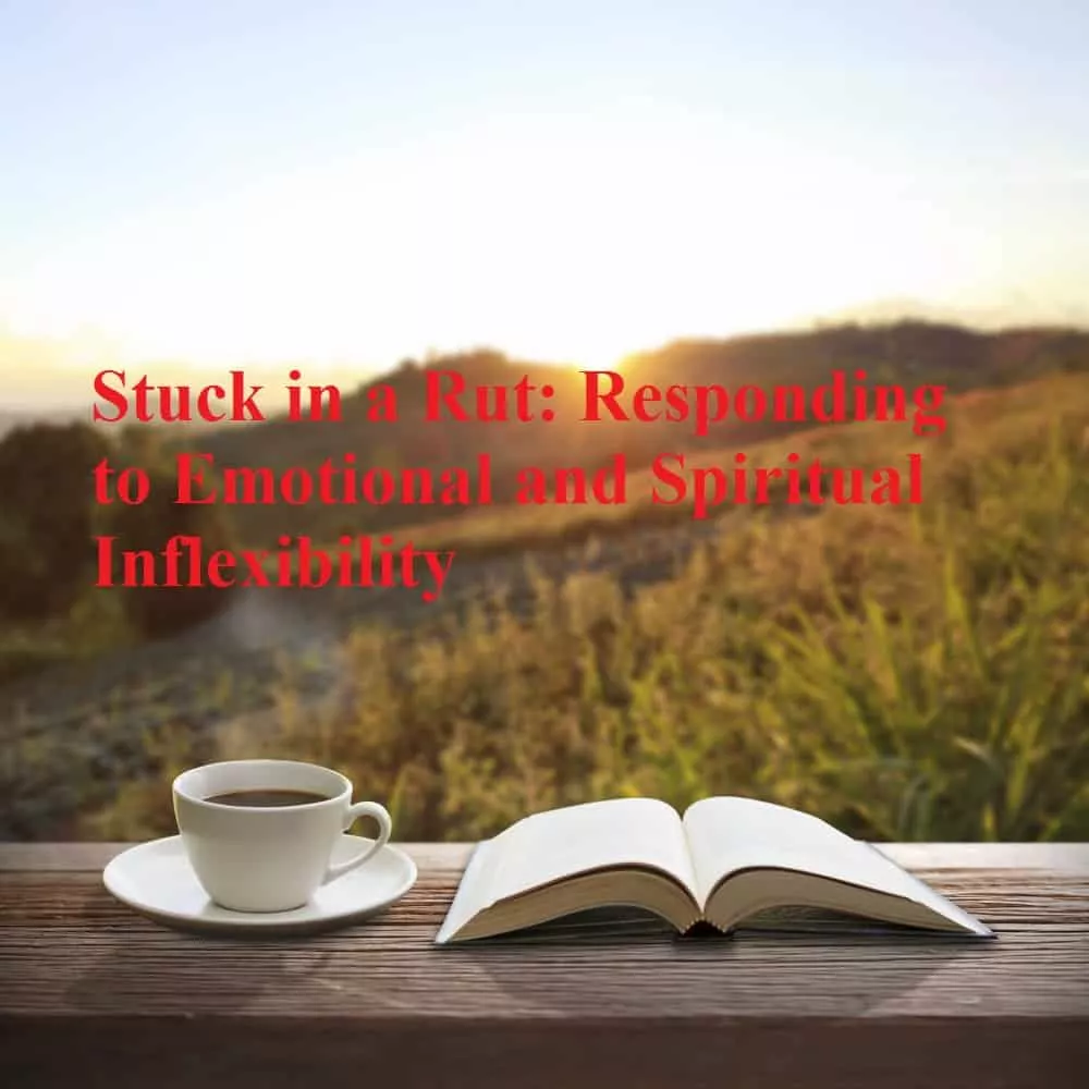 Stuck in a Rut Responding to Emotional and Spiritual Inflexibility
