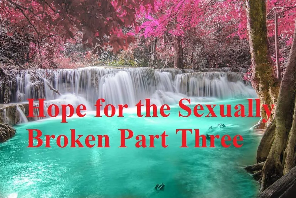 Hope for the Sexually Broken Part Three