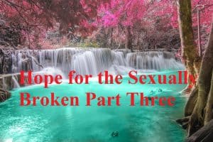 Hope for the Sexually Broken Part Three