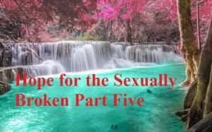 hope-for-the-sexually-broken-part-five