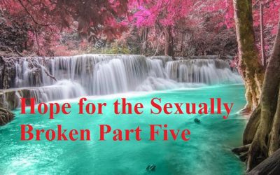 Hope for the Sexually Broken Part Five