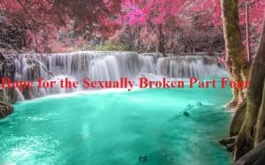 hope-for-the-sexually-broken-part-four