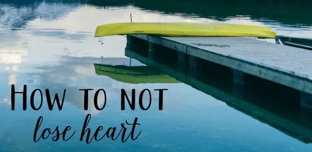 how-to-not-lose-heart-slider