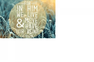 TheProvidenceofGod