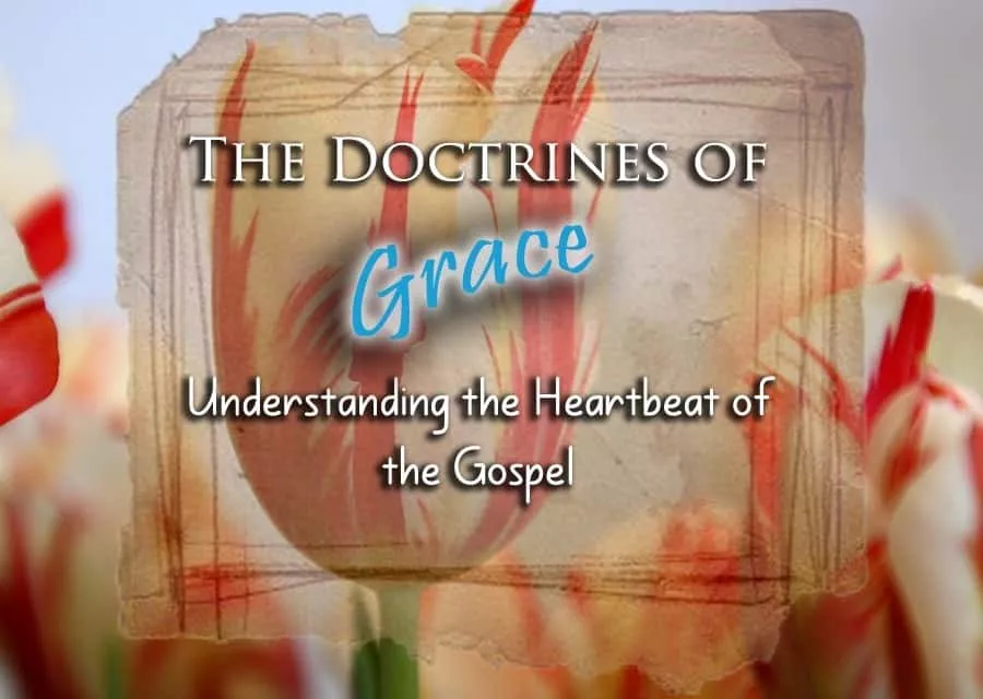 The Doctrines of Grace Understanding the Heartbeat of the Gospel