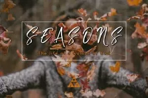 seasons