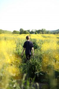 rachael-crowe-94002-unsplash