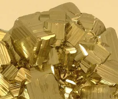 foolsgold