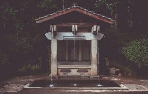 vinicius-henrique-549005-unsplash