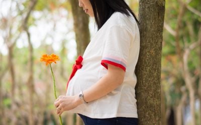 God’s Grand Plan for Motherhood: Nurturing Life for the Glory of Christ
