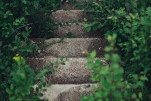 rodion-kutsaev-101716-unsplash