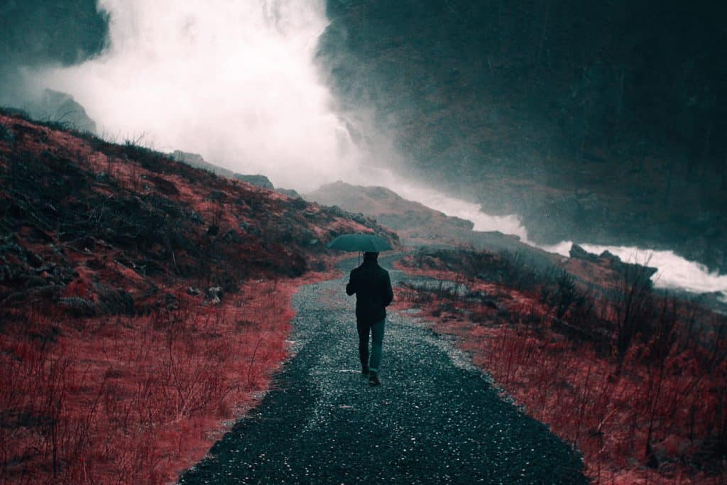 nick-scheerbart-147412-unsplash