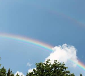 c5d04e19-f0e1-4259-87ae-4ddd2a9c499b