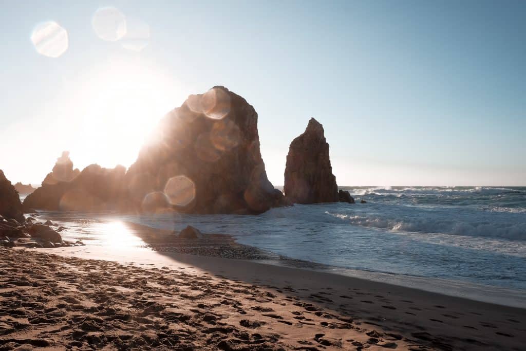 6-vesela-vaclavikova-624887-unsplash