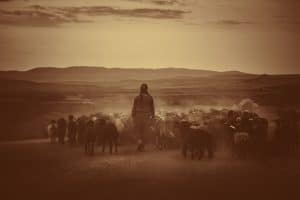 Pastoral-Ministry2