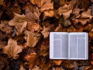 aaron-burden-1088036-unsplash