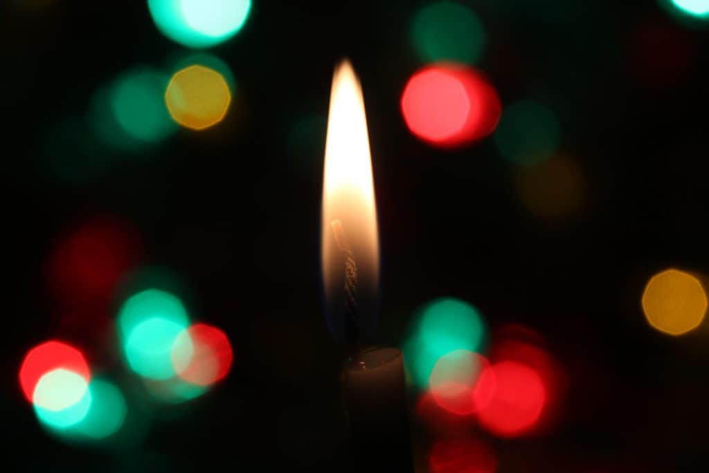 d-a-v-i-d-s-o-n-l-u-n-a-2gSfZ9Baph8-unsplash(1)