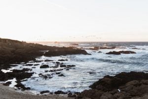 photo-1546488718-3403ccbba0dc