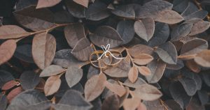 reason-you-are-married