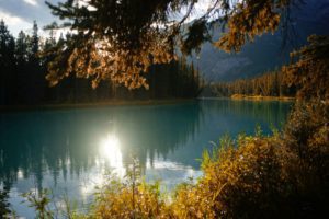 vanveenjf-Dwx_nbgzzUY-unsplash