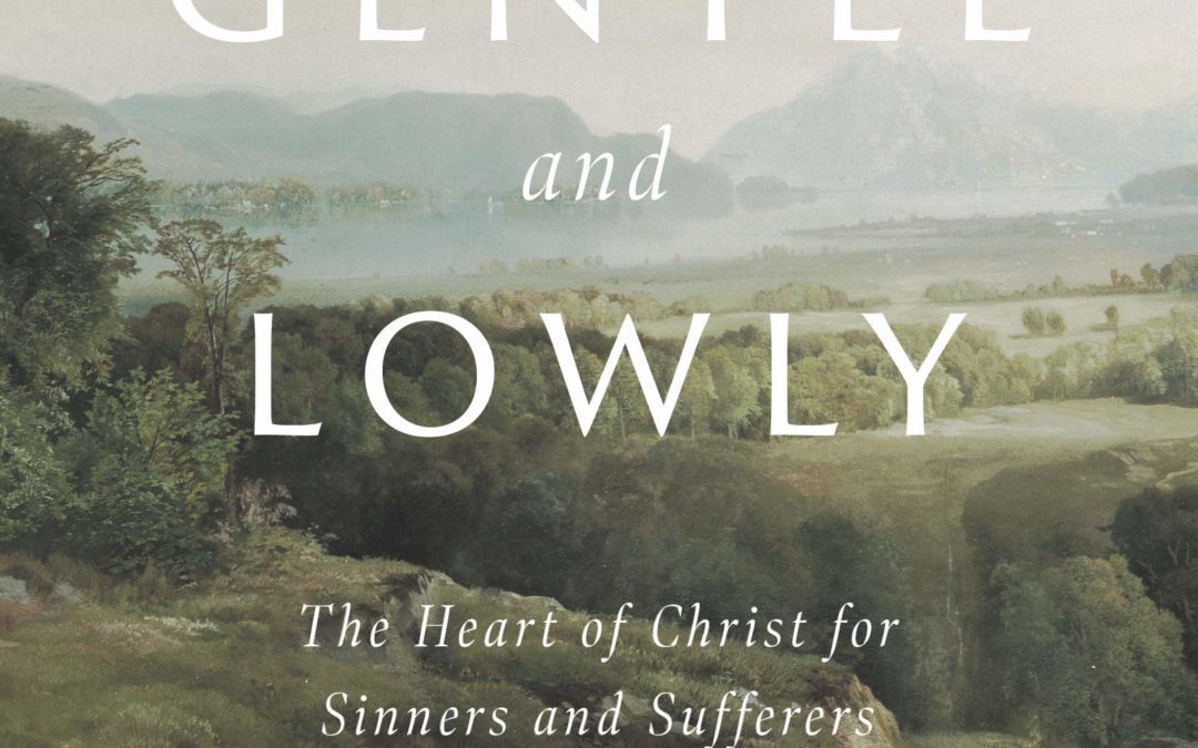 , Blog, Servants of Grace, Servants of Grace