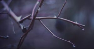 why-contentment-requires-intervention