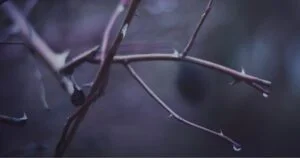 why-contentment-requires-intervention