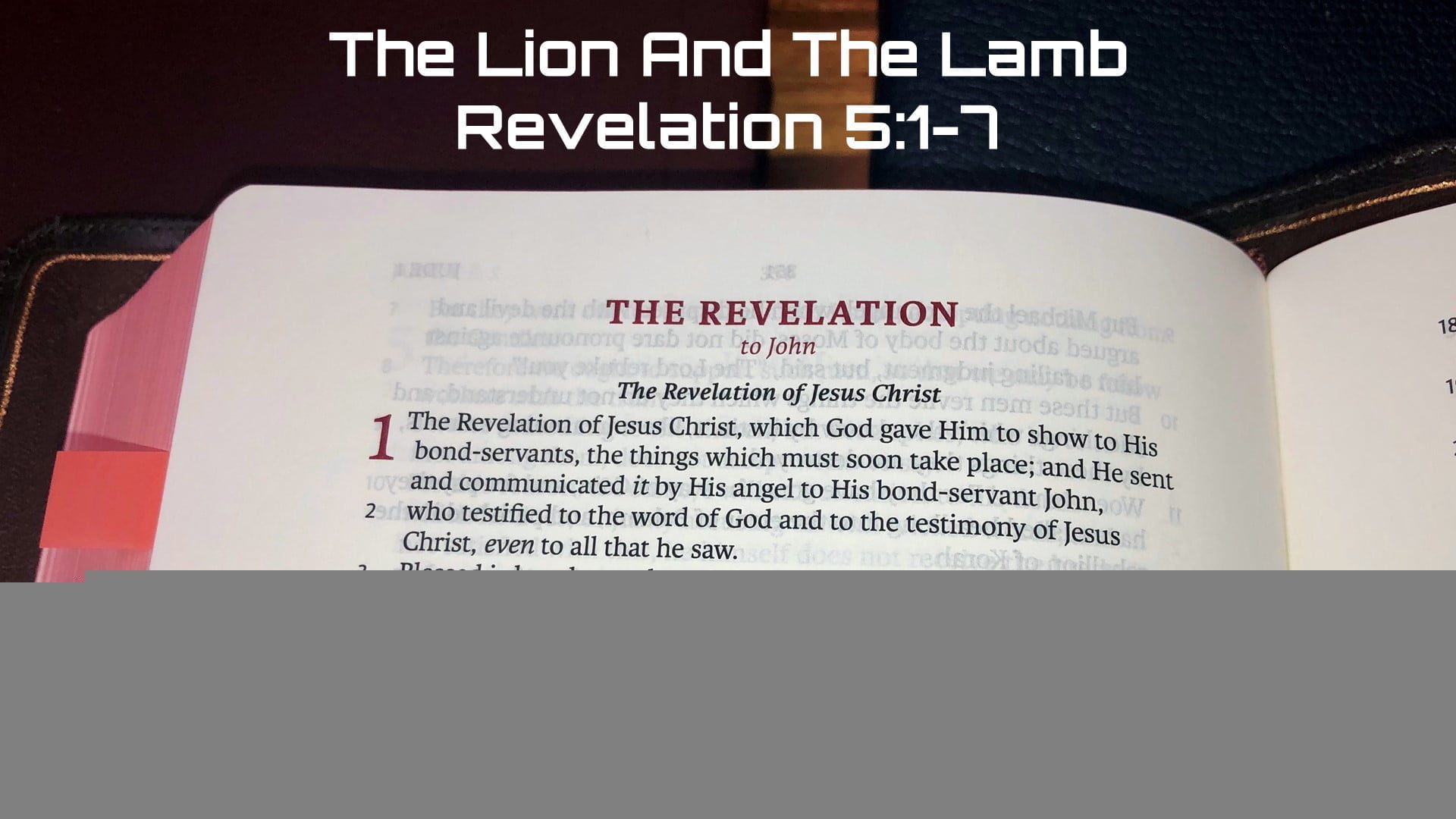 The Lion And The Lamb (002)