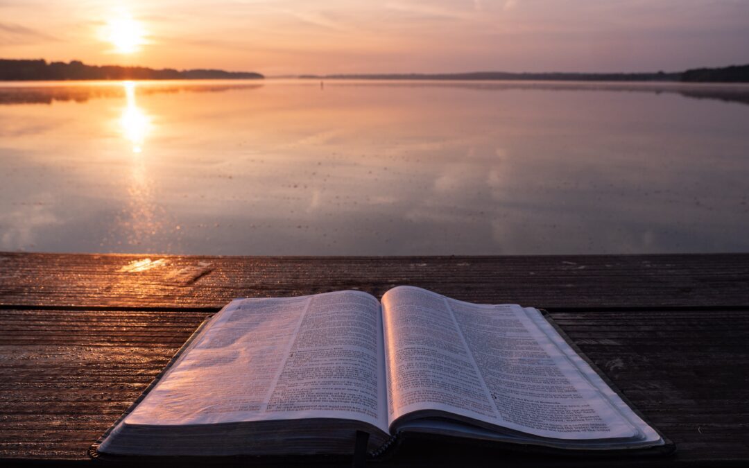 Daily Bites Of God’s Word on Psalm 119:17-24
