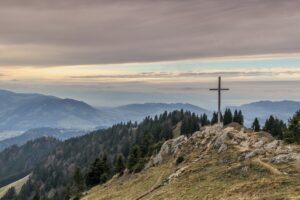 thanti-nguyen-U_b-eSviHvs-unsplash