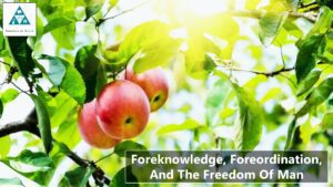 Foreknowledge Foreordination And The Freedom Of Man – Theology Segment (002)
