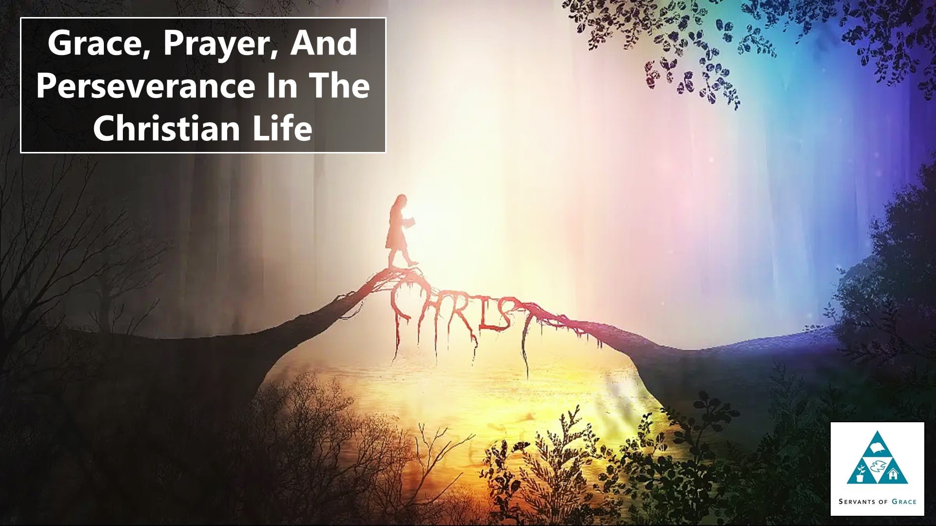 Grace Prayer And Perseverance In The Christian Life – Theology Segment (002)