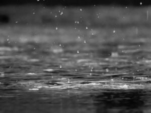 reza-shayestehpour-Nw_D8v79PM4-unsplash