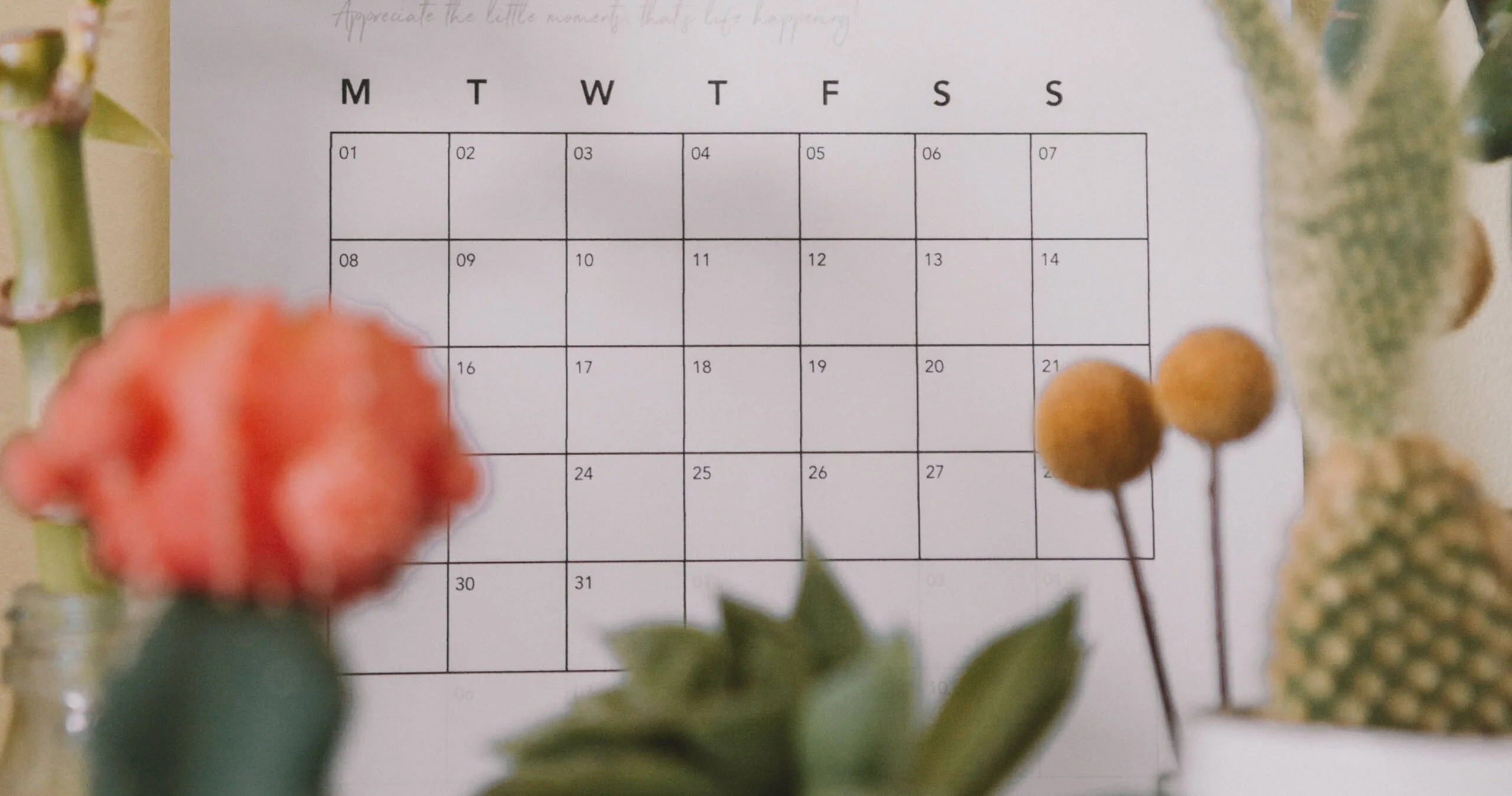 root-out-apathy-habit