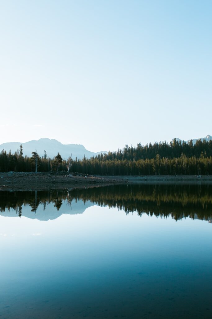 ravi-pinisetti-UAFq1m8HtBI-unsplash