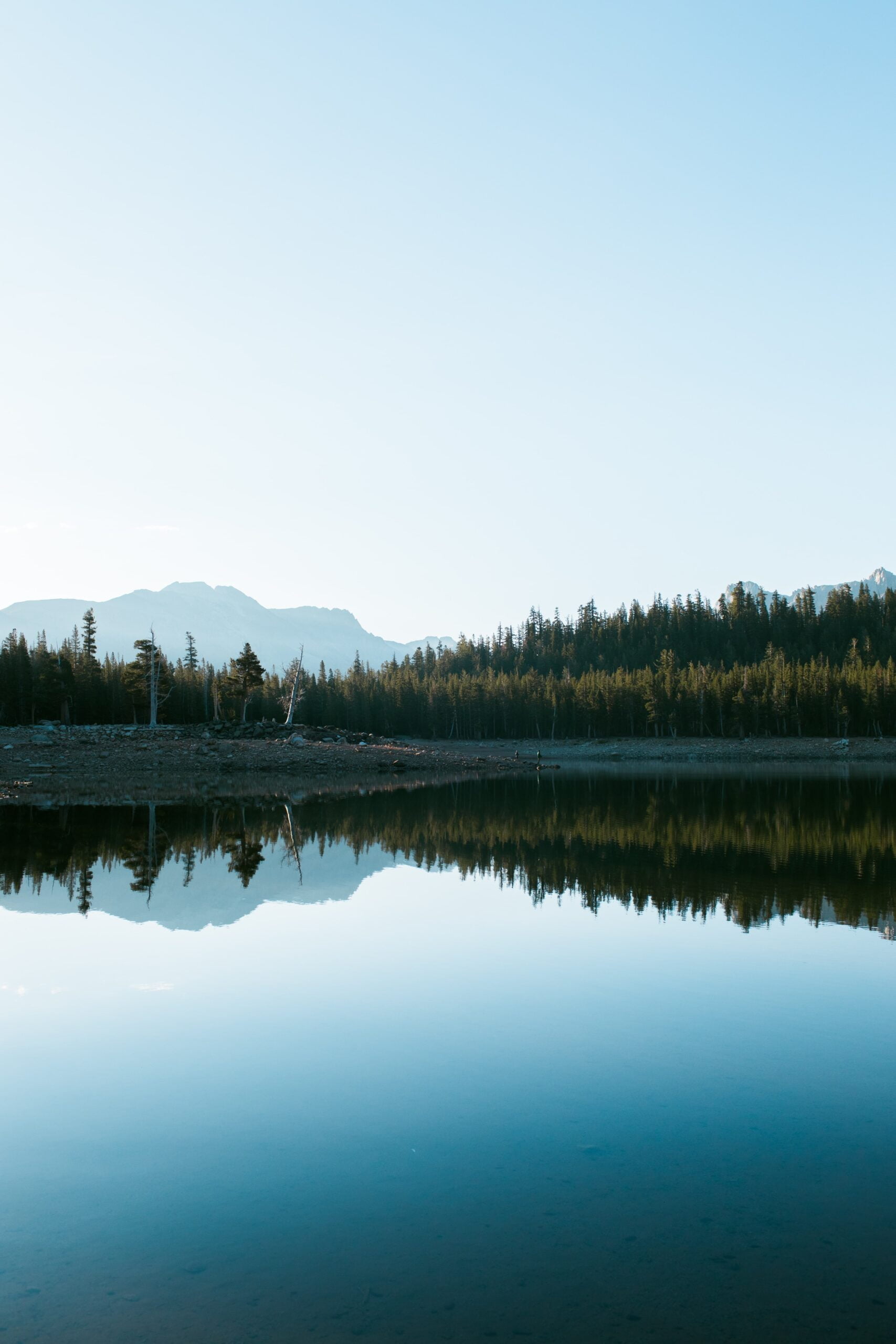ravi-pinisetti-UAFq1m8HtBI-unsplash